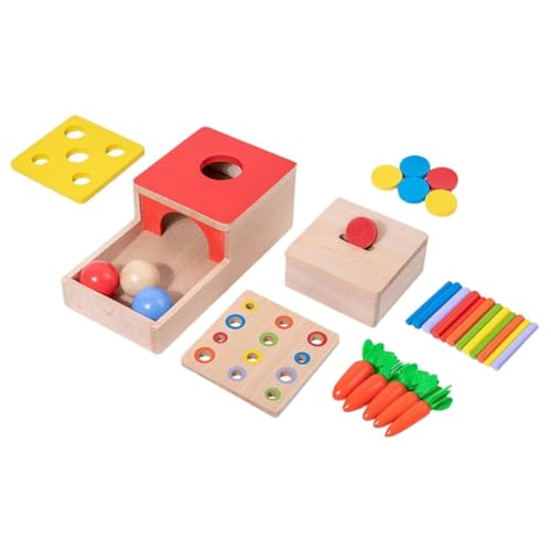 VANZACK 1Satz Lernspielzeug Aus Holz Sensorisches Montessori Für Hand Augen Koordination Pädagogisches Farbwahrnehmung Und Konzentration Sicheres Und Langlebiges von VANZACK