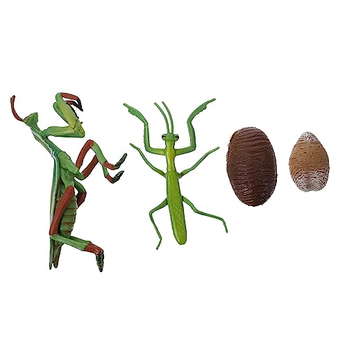 VANZACK 1Satz Mantis Lebenszyklus Modell Pädagogisches Insekten Wachstumsmodell Für Frühe Bildung Detailgetreue Figur Für Lernzwecke Und Wissenschaftliche Projekte VANZACK 1Satz Mantis Lebenszyklus Modell Pädagogisches Insekten Wachstumsmodell Für Frühe Bildung Detailgetreue Figur Für Lernzwecke Und Wissenschaftliche Projekte von VANZACK