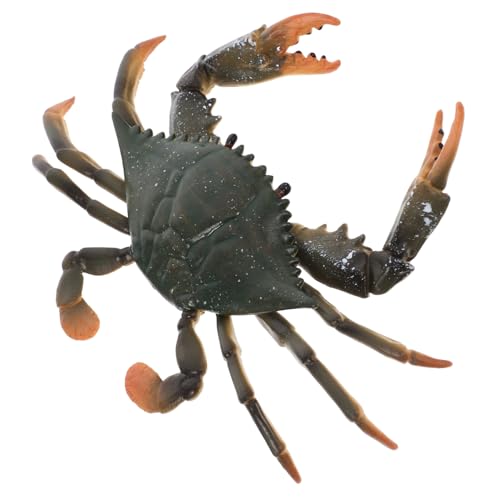 VANZACK 1Stück Simulation Krabbenmodell Für Kognitives Mit Maritimen Tieren Liebenswertes Tiermodell Für Kreatives Für Jahren von VANZACK