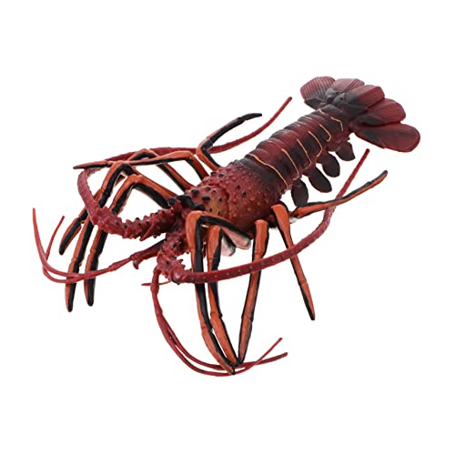 VANZACK 1Stück Simulation Lobster Modell Realistisches Meerestier für Dekoration für Zuhause und Büro Tierfigur für Lernzwecke Robuste VANZACK 1Stück Simulation Lobster Modell Realistisches Meerestier für Dekoration für Zuhause und Büro Tierfigur für Lernzwecke Robuste von VANZACK