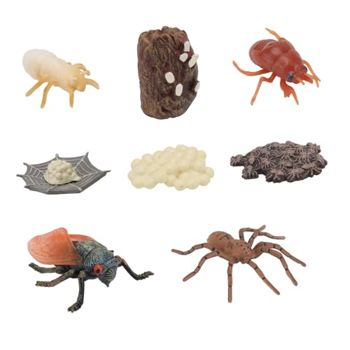 VANZACK 2Sätze Insektenwachstumszyklus Modelle Teiliges Lernspielzeug für Spider Cicada Realistische Wissenschaftliche Modelle Naturerziehung Sicher von VANZACK