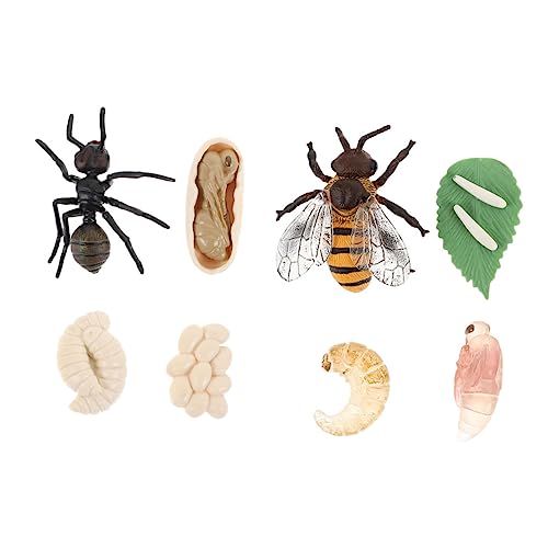 VANZACK 2sätze Tiermodell Set Insekten Lebenszyklus Modelle Für Junge Mädchen Bienen Und Ameisenwachstumszyklen Pädagogisches Spielzeug Für Mädchen Lernspielzeug Zur Biologischen VANZACK 2sätze Tiermodell Set Insekten Lebenszyklus Modelle Für Junge Mädchen Bienen Und Ameisenwachstumszyklen Pädagogisches Spielzeug Für Mädchen Lernspielzeug Zur Biologischen von VANZACK