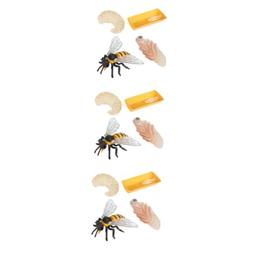 VANZACK 3 Sätze Teiliges Bienen Lebenszyklus Modell für Realistische Lernspielzeuge zur Kognitiven Anschauliche Natur und Wissenschaftserziehung Geburtstagsgeschenk für Junge Mädchen von VANZACK