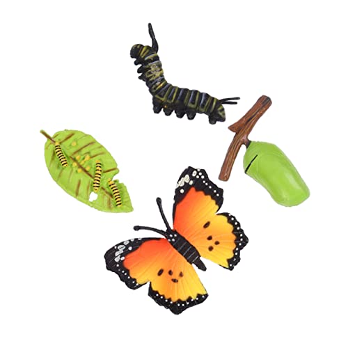 VANZACK 3Sätze Realistische Insektenwachstumsmodelle Schmetterlinge Kognitive Spielzeuge Für Tieranzeigemodelle Naturwissenschaften von VANZACK