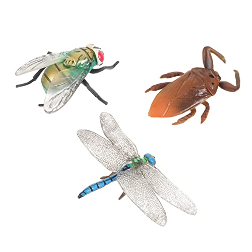 VANZACK 3Stücke Lustige Insekten Spielzeuge Pädagogisches Lernspielzeug Für Realistische Modelle Fliege Libelle Wasserwanze Interessantes Kinderspielzeug VANZACK 3Stücke Lustige Insekten Spielzeuge Pädagogisches Lernspielzeug Für Realistische Modelle Fliege Libelle Wasserwanze Interessantes Kinderspielzeug von VANZACK