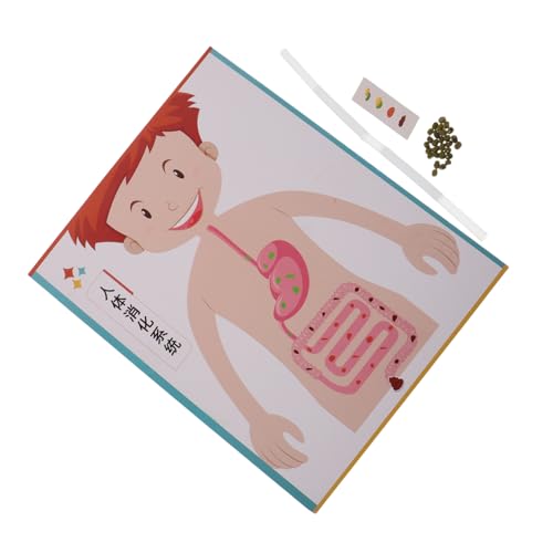 VANZACK 4 Sätze DIY Human Digestive System Modell Bausatz für Interaktives Lernspielzeug zur Motorischer Fähigkeiten Kognitiver Entwicklung und Kreativem Experimentieren im Schulunterricht VANZACK 4 Sätze DIY Human Digestive System Modell Bausatz für Interaktives Lernspielzeug zur Motorischer Fähigkeiten Kognitiver Entwicklung und Kreativem Experimentieren im Schulunterricht von VANZACK