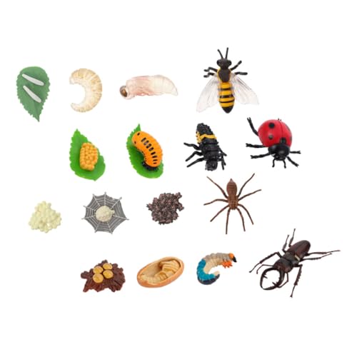 VANZACK 4 Sätze Teiliges Insekten Wachstumszyklus Modell für Realistische Lernspielzeuge mit Schmetterling Marienkäfer Hirschkäfer und Spinne Pädagogisch Wertvolle Entdeckungsornamente VANZACK 4 Sätze Teiliges Insekten Wachstumszyklus Modell für Realistische Lernspielzeuge mit Schmetterling Marienkäfer Hirschkäfer und Spinne Pädagogisch Wertvolle Entdeckungsornamente von VANZACK