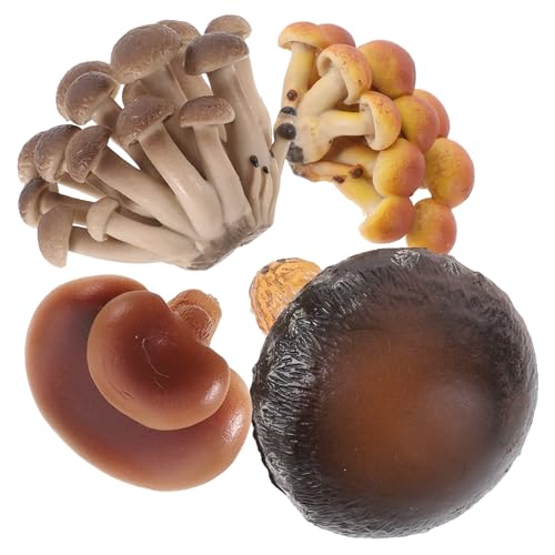 VANZACK 4 Stück Teiliges Pilzwachstum Phasen Modelle aus Leichtem PVC Realistische Pilz Lernspielzeuge für Pädagogische Naturwissenschafts Spielzeuge Neugier und Biologischem Verständnis von VANZACK