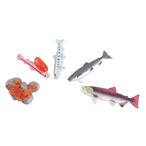 VANZACK 4Stücke Figuren Modell Für Realistisches Fischmodell Kognitiven Entwicklung Für Frühkindliche Bildung VANZACK 4Stücke Figuren Modell Für Realistisches Fischmodell Kognitiven Entwicklung Für Frühkindliche Bildung von VANZACK
