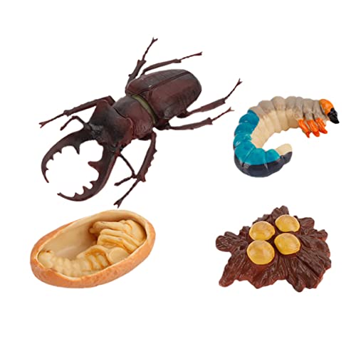 VANZACK 4Stücke Insekten Display Modelle Für Simulation Insekten Ornament Bildungsbedarf Für Naturwissenschaften Und Lernen Spielzeugmodell Für Kleine von VANZACK