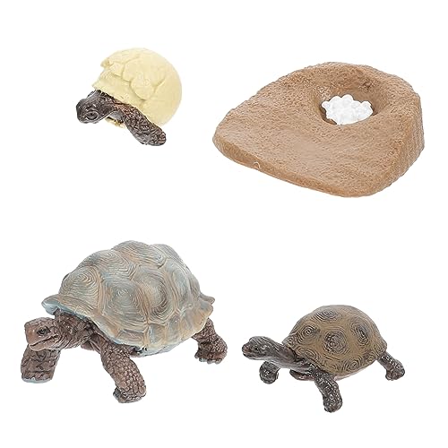 VANZACK 4Stücke Schildkrötenwachstumszyklus Spielzeugset Lebenszyklusfiguren Für Zufällige Farben Tierfiguren Zur Dekoration Und Lernspielzeug von VANZACK