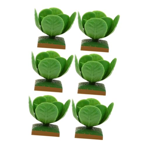 VANZACK 6 Stück Teiliges Realistische Gemüse Modellspielzeuge für Langlebig und Kompakt Lernspielzeug für Küche Kaufladen und Kreative DIY Szenen VANZACK 6 Stück Teiliges Realistische Gemüse Modellspielzeuge für Langlebig und Kompakt Lernspielzeug für Küche Kaufladen und Kreative DIY Szenen von VANZACK