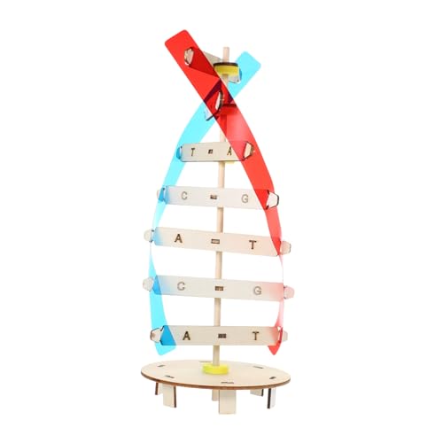VANZACK DIY Holz DNA Modell Doppelhelix zum Selbstmontieren Biologisches Lernspielzeug für Schüler Sicherer Holzbausatz zur Naturwissenschaftlicher Bildung und Klassenzimmerdekoration von VANZACK