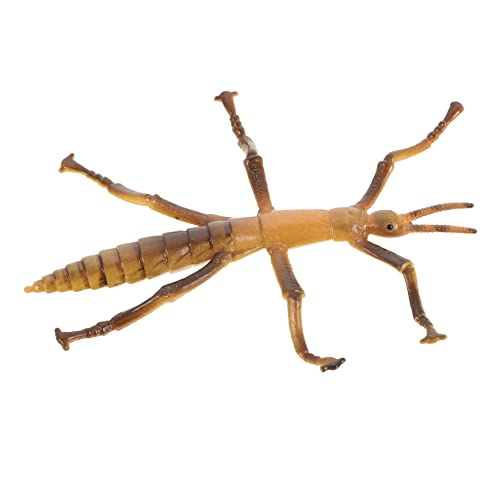 VANZACK Dekoratives Lernspielzeug Realistisches Modell Für Interaktives Insektenfiguren Kindlichen Entwicklung VANZACK Dekoratives Lernspielzeug Realistisches Modell Für Interaktives Insektenfiguren Kindlichen Entwicklung von VANZACK