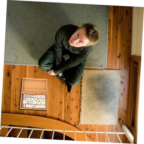 VANZACK Domino Holz Domino Steine Klassisches Familienspiel mit Bambusbox für Unterhaltung und Kommunikation Geeignet für Erwachsene von VANZACK