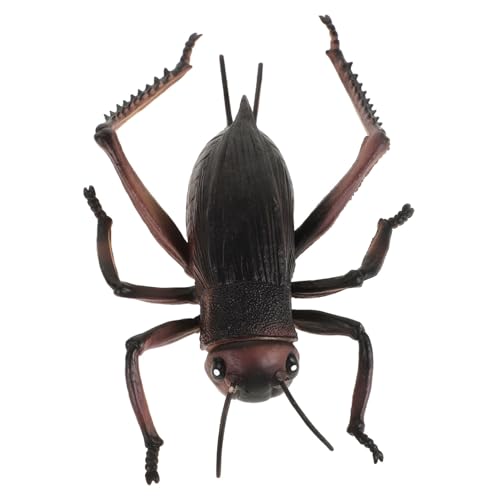 VANZACK Großes Realistisches PVC Insektenmodell Dekorative Schreibtischfigur mit Feiner Verarbeitung Glatter Oberfläche Elegantes Design Desktop Ornament für Wohn und Arbeitsräume VANZACK Großes Realistisches PVC Insektenmodell Dekorative Schreibtischfigur mit Feiner Verarbeitung Glatter Oberfläche Elegantes Design Desktop Ornament für Wohn und Arbeitsräume von VANZACK