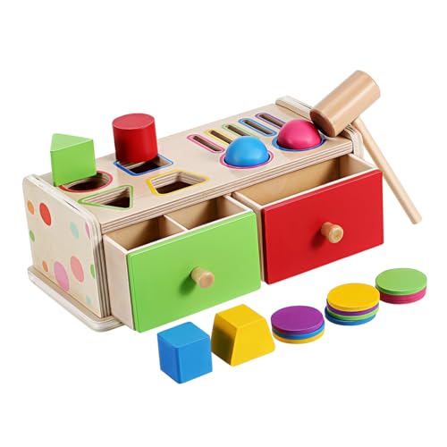 VANZACK Holz Formen Sortierspielzeug mit Farb und Formerkennung für Kleinkinder Montessori Lernspielzeug aus Holz Sensorisches Lernspiel für Jungen und Mädchen Frühkindliche von VANZACK