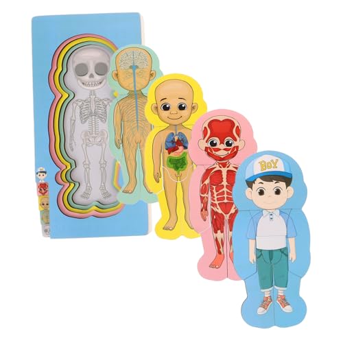 VANZACK Pädagogisches Holz Puzzle Menschliches Puzzle Set Spielzeug Für Mädchen Jungen Jungen Und Mädchen Spielzeug von VANZACK