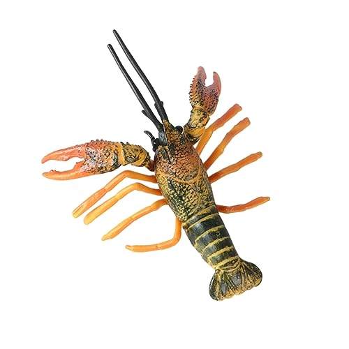VANZACK Kreatives Hummermodell Für Realistisches Emulationsspielzeug Kognitiven Fähigkeiten Einzigartiges Deko Element Für Lernspielräume Kleiner Hummer von VANZACK