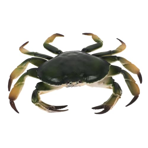 VANZACK Kreatives Krabbenskulptur Modell Realistisches Simulationskrabbenmodell Aus Kunststoff Für Pädagogisches Tierfiguren Lernspielzeug Für Vorschule Und Zuhause von VANZACK