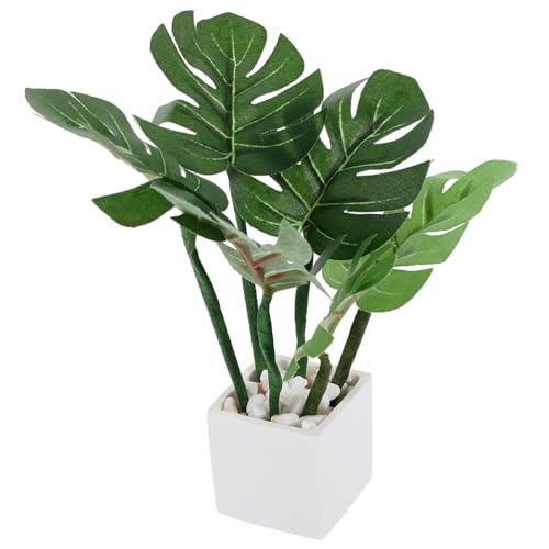 VANZACK Künstliches Bonsai Topfpflanze Für Puppenhaus Kleines Bonsai Modell Mit Weißen Pflanzgefäß Als Puppenhaus Zubehör Verschönerung Von Szenen VANZACK Künstliches Bonsai Topfpflanze Für Puppenhaus Kleines Bonsai Modell Mit Weißen Pflanzgefäß Als Puppenhaus Zubehör Verschönerung Von Szenen von VANZACK