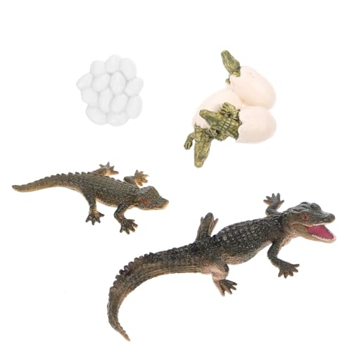 VANZACK Lebenszyklus Krokodil Figur Teilig Plastisches Tiermodell Pädagogisches Lernspielzeug für Frühe Bildung Anschauliche Entwicklung Darstellung von VANZACK