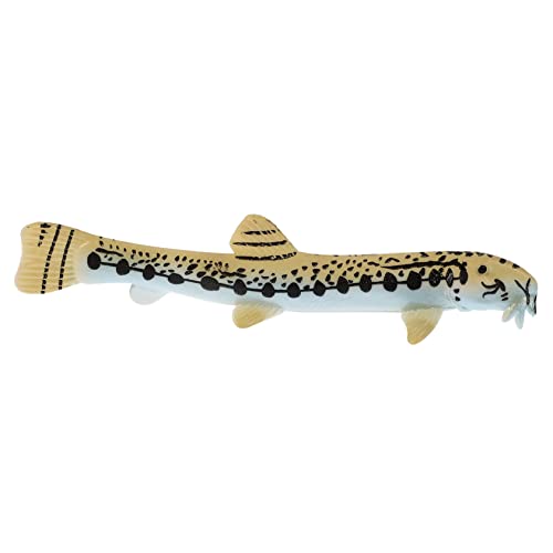 VANZACK Loach Modellspielzeug Realistische Figur Für Bildungsmodell Für Ozeantiere Kreatives Kognitiven Entwicklung Dekorationsfigur Für Heim Und Schule VANZACK Loach Modellspielzeug Realistische Figur Für Bildungsmodell Für Ozeantiere Kreatives Kognitiven Entwicklung Dekorationsfigur Für Heim Und Schule von VANZACK
