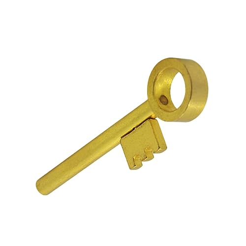 VANZACK Magisches Beweglicher Schlüssel Trick Kreatives Nahaufnahme Zaubertrick Gimmick Für Partys Goldene Farbe Für Zauberkünstler Und Unterhaltung von VANZACK
