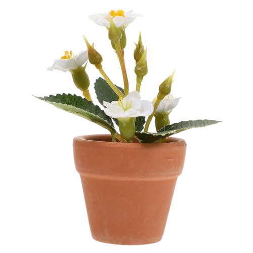 VANZACK Pflanzen Bonsai Künstliche Mini Pflanzen Für Hausdeko Realistische Pflanzen Für Wohnzimmer Schlafzimmer Und Badezimmer Deko Weiße Töpfe von VANZACK