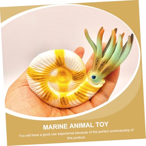VANZACK Realistisches Nautilus Modell Meeresbewohner Deko Desktop Ornament Lernspielzeug Wissenschaftliches Kognitives für Zuhause und Büro VANZACK Realistisches Nautilus Modell Meeresbewohner Deko Desktop Ornament Lernspielzeug Wissenschaftliches Kognitives für Zuhause und Büro von VANZACK