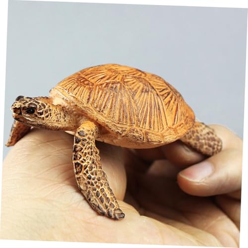 VANZACK Realistisches Schildkröten Modell aus Hochwertigem Kunststoff Detailgetreues Pädagogisches für Langlebige Tierfigur für Dekoration und Lernzwecke Geeignet als Geschenk und VANZACK Realistisches Schildkröten Modell aus Hochwertigem Kunststoff Detailgetreues Pädagogisches für Langlebige Tierfigur für Dekoration und Lernzwecke Geeignet als Geschenk und von VANZACK