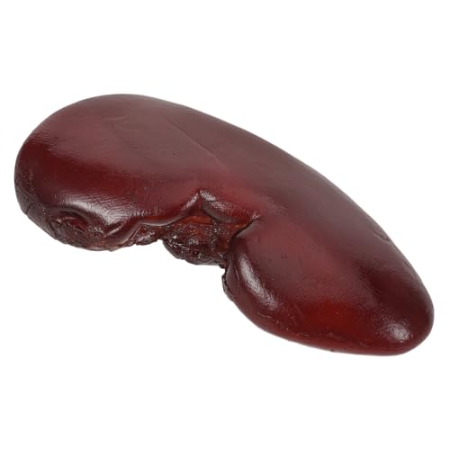 VANZACK Realistisches Schweine-nieren-Modell Halloween Deko Prank Detailgetreu Stabil Für Horrorpartys Cosplay Foto Requisit Kreatives Zubehör von VANZACK