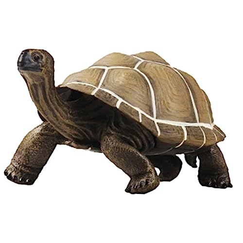 VANZACK Schildkrötenmodell Figur Künstliche Plastikschildkröte Für Dekoration Und Realistische Schildkrötenstatue Als Tischdeko Oder Gartenaccessoire Schildkrötenfiguren VANZACK Schildkrötenmodell Figur Künstliche Plastikschildkröte Für Dekoration Und Realistische Schildkrötenstatue Als Tischdeko Oder Gartenaccessoire Schildkrötenfiguren von VANZACK