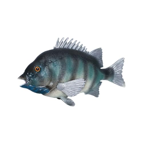 VANZACK Simulation Fisch Modell Tier aus Kunststoff Realistische Dekoration für Lernspielzeug Deko für Teiche und Unterwasserwelt Lebendige von VANZACK