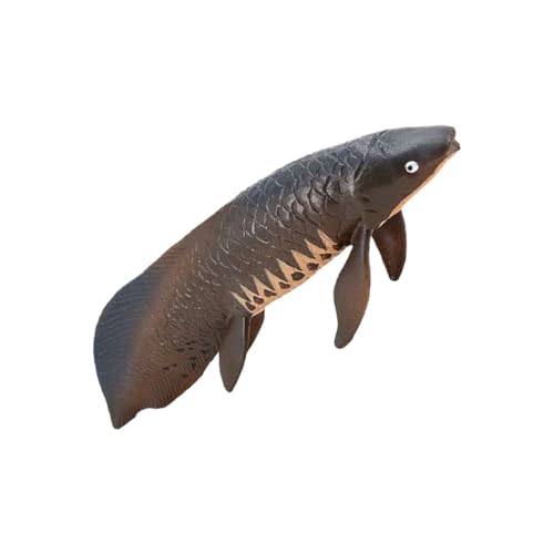 VANZACK Simulation Tiermodell Pädagogisches Modell Für Kognitives Aus Kunststoff Tiermodell Für Vorschule Und Lernspielzeug Lang Als Fischschmuck VANZACK Simulation Tiermodell Pädagogisches Modell Für Kognitives Aus Kunststoff Tiermodell Für Vorschule Und Lernspielzeug Lang Als Fischschmuck von VANZACK