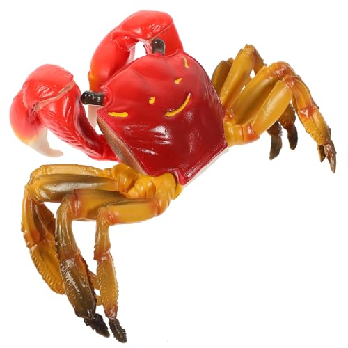 VANZACK Simulationskrabbe für Pädagogisches Meeresmodell Realistisches Krabbenmodell aus Hochwertigem Material Detailgetreu und Handgerecht Lernspielzeug für Kleinkinder VANZACK Simulationskrabbe für Pädagogisches Meeresmodell Realistisches Krabbenmodell aus Hochwertigem Material Detailgetreu und Handgerecht Lernspielzeug für Kleinkinder von VANZACK