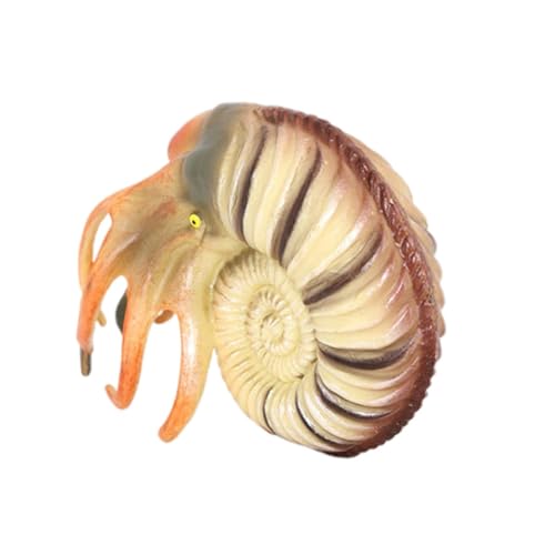 VANZACK Simuliertes Nautilus Modell Tierfigur aus Robustem Material Realistische Meeresbewohner Dekoration und Pädagogisches für Geeignet als Aquarium Ornament und Lernhilfe VANZACK Simuliertes Nautilus Modell Tierfigur aus Robustem Material Realistische Meeresbewohner Dekoration und Pädagogisches für Geeignet als Aquarium Ornament und Lernhilfe von VANZACK