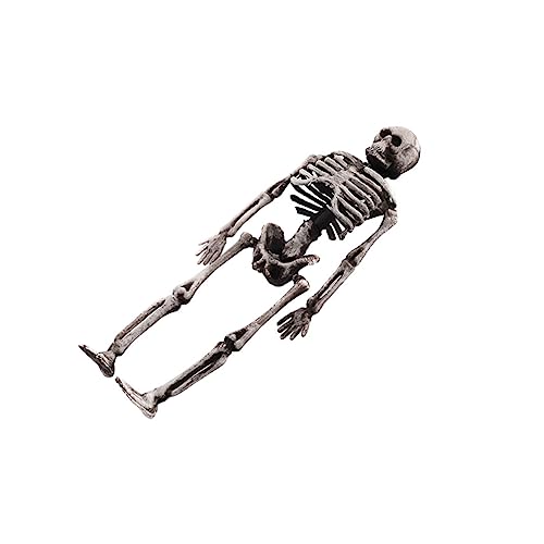 VANZACK Skelett Dekoration Für Halloween Kleines Menschliches Skelett Modell Als Gruselige Streichprop Für Party Und Bar Deko Realistisches Skelett Für Halloween VANZACK Skelett Dekoration Für Halloween Kleines Menschliches Skelett Modell Als Gruselige Streichprop Für Party Und Bar Deko Realistisches Skelett Für Halloween von VANZACK
