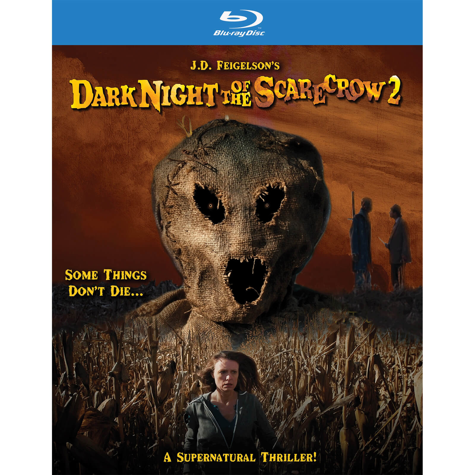 Dark Night Of The Scarecrow 2 (US Import) von VCI Entertainment