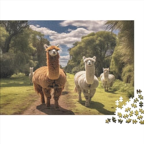 Alpaka Für Erwachsene 1000 Teile Alpaka Puzzle Geburtstag Home Decor Lernspiel Family Challenging Games Entspannung Und Intelligenz 1000pcs (75x50cm) von VCLUST