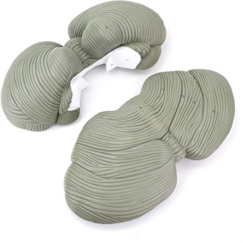 VDLLQYN, Kleinhirnlappen, Kleinhirnkern-Kleinhirnmodell, medizinisches anatomisches Modell, verwendet for den medizinischen Unterricht ,Anatomie-Modelle VDLLQYN, Kleinhirnlappen, Kleinhirnkern-Kleinhirnmodell, medizinisches anatomisches Modell, verwendet for den medizinischen Unterricht ,Anatomie-Modelle von VDLLQYN