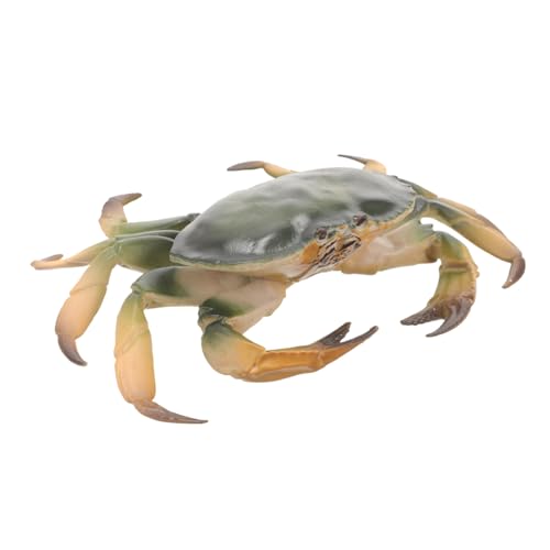 VERDANVERSE Realistische Krabbenfigur aus Detailgetreues Glattes Design Edukatives Kompakte Meeresdeko für Aquarium und Tischdekoration Kreatives für Freunde VERDANVERSE Realistische Krabbenfigur aus Detailgetreues Glattes Design Edukatives Kompakte Meeresdeko für Aquarium und Tischdekoration Kreatives für Freunde von VERDANVERSE