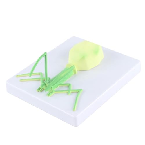 Bakteriophagen-Virusmodell Virusstrukturmodell Virusmodell Bakteriophagen-Phagenmodell Mikrobiologieunterricht For Den Naturwissenschaftlichen Unterricht Im Klassenzimmer Studiendisplay Bakteriophagen-Virusmodell Virusstrukturmodell Virusmodell Bakteriophagen-Phagenmodell Mikrobiologieunterricht For Den Naturwissenschaftlichen Unterricht Im Klassenzimmer Studiendisplay von VERIMP