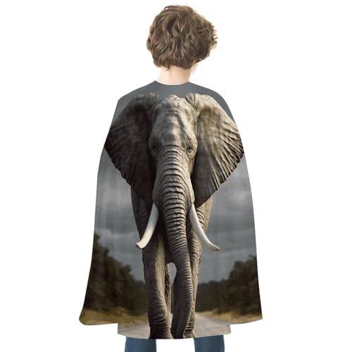VFKLT Halloween Doppelseitiger Umhang, 3D Elefant Gedruckt Halloween Vampir Umhang Party Kostüme für Männer und Frauen von VFKLT