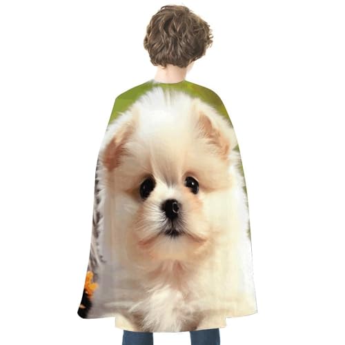 VFKLT Halloween-Umhang, doppelseitiger Umhang, niedlicher Hund, bedruckt, Halloween-Vampir-Umhang, Party-Kostüme für Männer und Frauen VFKLT Halloween-Umhang, doppelseitiger Umhang, niedlicher Hund, bedruckt, Halloween-Vampir-Umhang, Party-Kostüme für Männer und Frauen von VFKLT