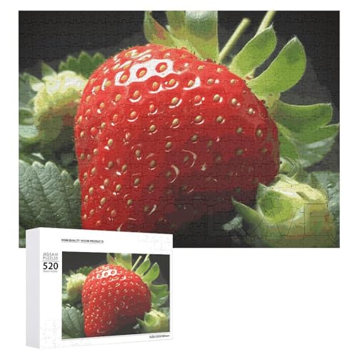 520 Teile Puzzle für Erwachsene Frisches Obst Erdbeere Dekompressionsspiel Freizeit Unterhaltung Holzpuzzle Entspannung sensorisches Spielzeug Raumdekoration für Männer und 520 Teile Puzzle für Erwachsene Frisches Obst Erdbeere Dekompressionsspiel Freizeit Unterhaltung Holzpuzzle Entspannung sensorisches Spielzeug Raumdekoration für Männer und von VFMKT