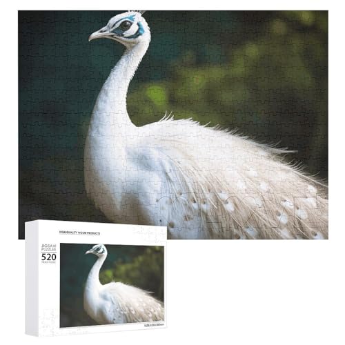 520 Teile Puzzle für Erwachsene Kaltweiß großes Puzzle Dekompressionsspiel Freizeit Unterhaltung Holzpuzzle Entspannung sensorisches Spielzeug Raumdekoration für 520 Teile Puzzle für Erwachsene Kaltweiß großes Puzzle Dekompressionsspiel Freizeit Unterhaltung Holzpuzzle Entspannung sensorisches Spielzeug Raumdekoration für von VFMKT