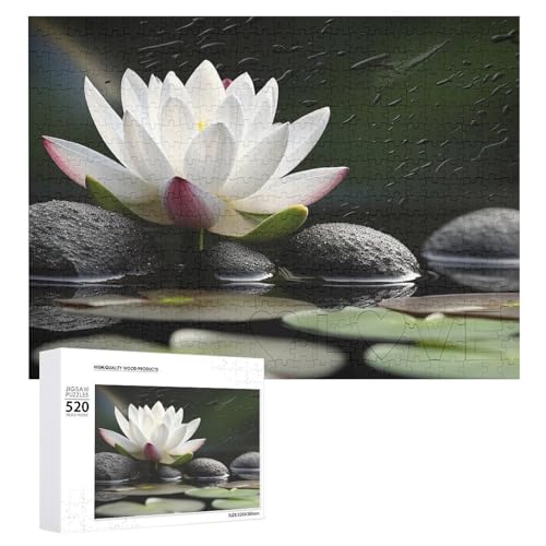 520 Teile Puzzles für Erwachsene Coole Blume und Schwarze Zen Steine Puzzles Große Puzzles Spiel Dekompression Freizeit Unterhaltung Holzpuzzle Entspannung Sensorisches Spielzeug Raumdekor für Frauen 520 Teile Puzzles für Erwachsene Coole Blume und Schwarze Zen Steine Puzzles Große Puzzles Spiel Dekompression Freizeit Unterhaltung Holzpuzzle Entspannung Sensorisches Spielzeug Raumdekor für Frauen von VFMKT