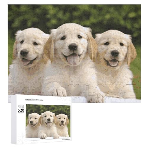 520 Teile Puzzles für Erwachsene Coole Golden Retriever Welpen Puzzles Große Puzzles Spiel Dekompression Freizeit Unterhaltung Holzpuzzle Entspannung Sensorisches Spielzeug Raumdekor für Frauen Männer von VFMKT