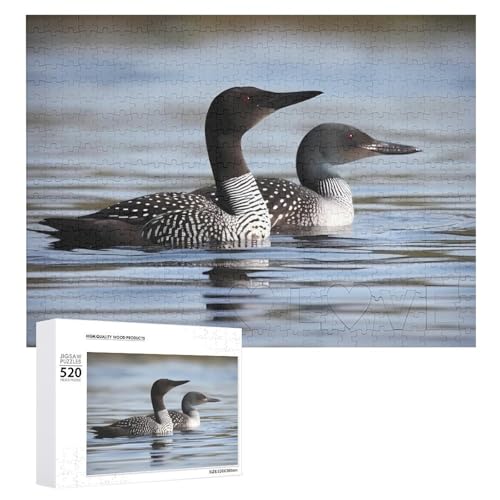 520 Teile Puzzles für Erwachsene Coole Loon Vögel Puzzles Große Puzzles Spiel Dekompression Freizeit Unterhaltung Holzpuzzle Entspannung Sensorisches Spielzeug Raumdekor für Frauen Männer von VFMKT